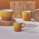 Jogo 6 Canecas Espresso de Cerâmica 100 ml Nectar Le Creuset