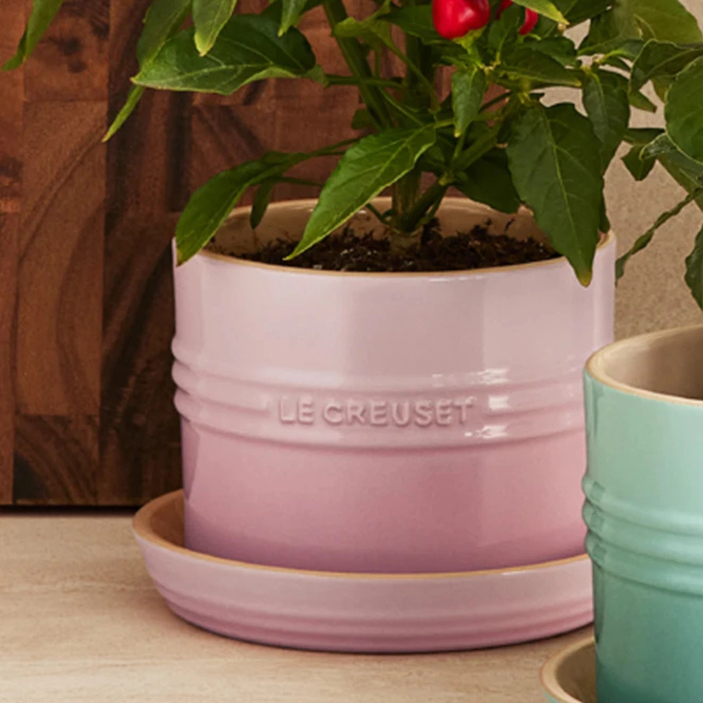 Vaso para Ervas com Bandeja 14 cm Shell Pink Le Creuset