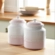 Kit de 2 Potes para Biscoito 2,4 Litros de Cerâmica Shell Pink Le Creuset