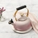 Chaleira Tradicional com Apito Pegador de Coração 1,6 Litros Shell Pink Le Creuset