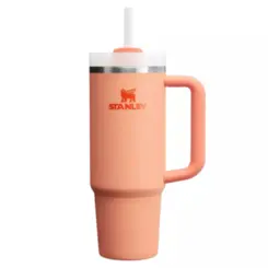 Copo Térmico Quencher 2.0 1,18 L Nectarine Stanley