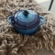 Mini Cocotte de Cerâmica Botão Preto 10 cm Azure Blue Le Creuset