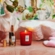 Vela Decorativa de Vidro Classico 60h Goji Tarocco Orange Voluspa