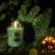 Vela Decorativa de Vidro Tamanho G 100h com Tampa Noble Fir Garland Voluspa