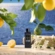 Oleo para Difusor Ultrassonico 15 ml Mediterranean Lemon Voluspa
