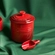 Porta Ração com Dosador Pet Collection 2,3 Litros Vermelho Le Creuset