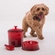 Bowl para Pet em Cerâmica 450 ml Vermelho Le Creuset