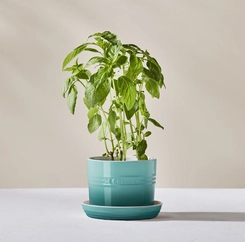 Vaso para Ervas com Bandeja 14 cm Bleu Riviera Le Creuset