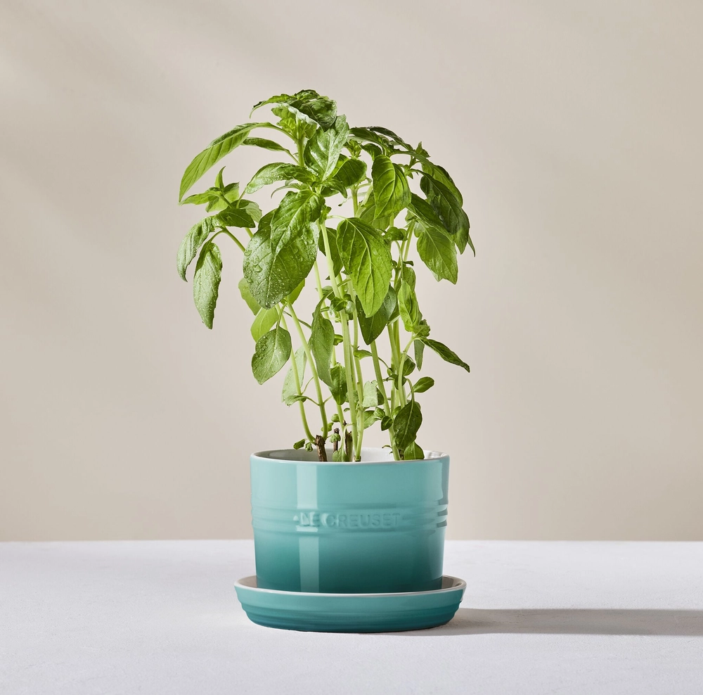Vaso para Ervas com Bandeja 14 cm Bleu Riviera Le Creuset